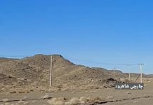 Observation of two Asiatic Cheetahs on the side of Tehran-Mashhad road