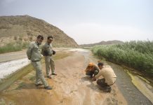 انتشار اولین گزارش جستجوگران امید
