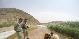 انتشار اولین گزارش جستجوگران امید