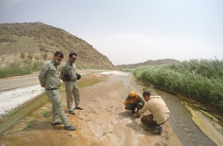 انتشار اولین گزارش جستجوگران امید