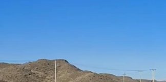 مشاهده دو قلاده یوزپلنگ آسیایی در حاشیه جاده تهران – مشهد